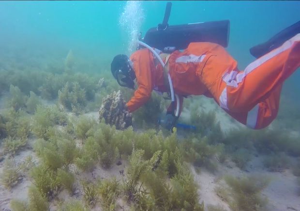 抖圈- 为du而生(中国区)官方网站