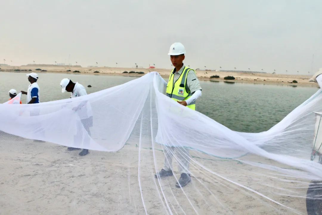 抖圈- 为du而生(中国区)官方网站