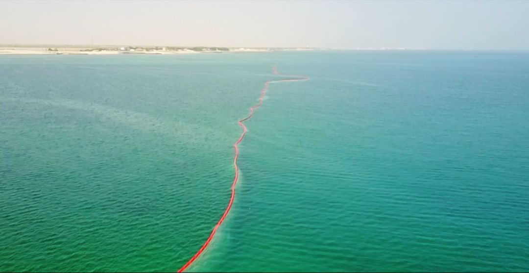 抖圈- 为du而生(中国区)官方网站