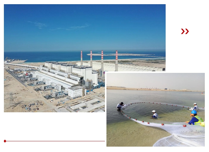 抖圈- 为du而生(中国区)官方网站