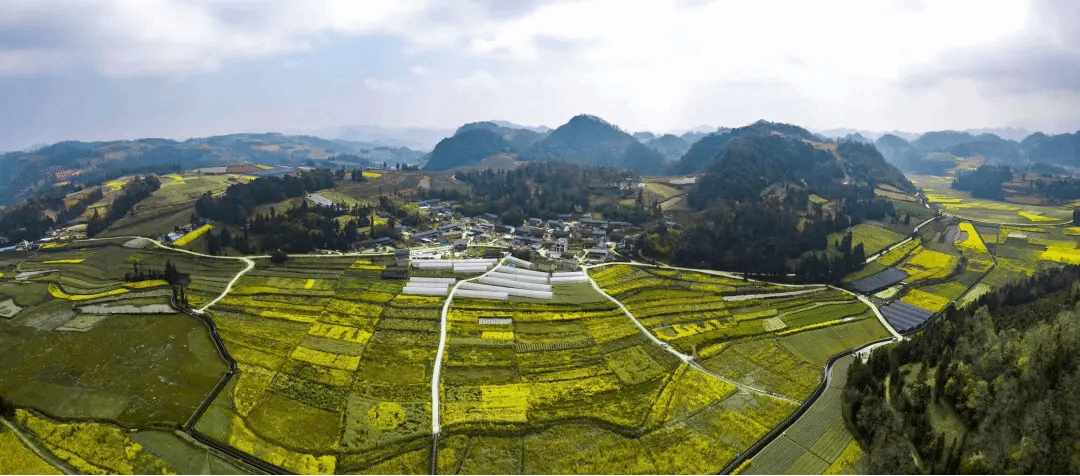 抖圈- 为du而生(中国区)官方网站