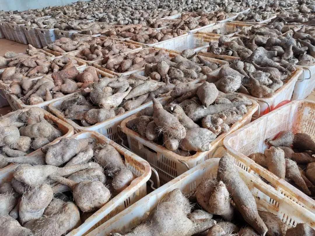 抖圈- 为du而生(中国区)官方网站