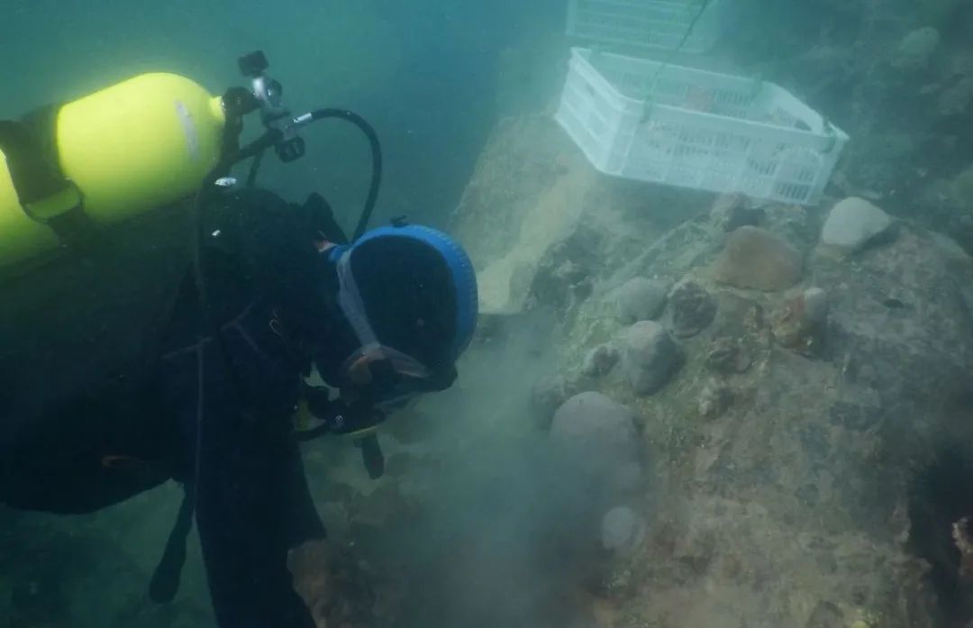 抖圈- 为du而生(中国区)官方网站