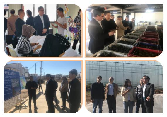 抖圈- 为du而生(中国区)官方网站