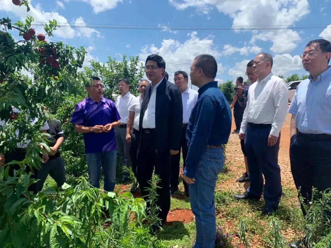 抖圈- 为du而生(中国区)官方网站