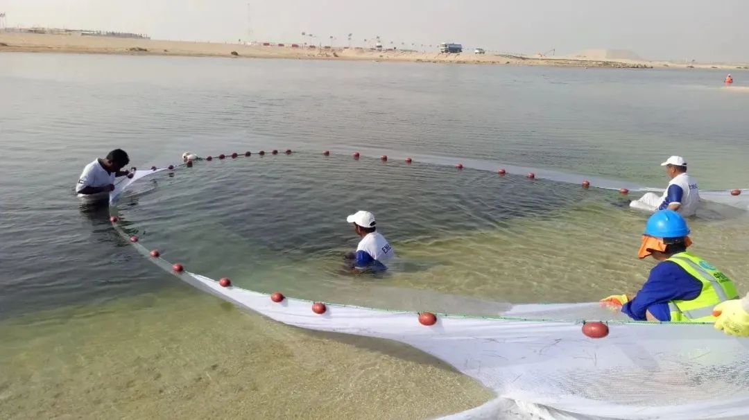 抖圈- 为du而生(中国区)官方网站