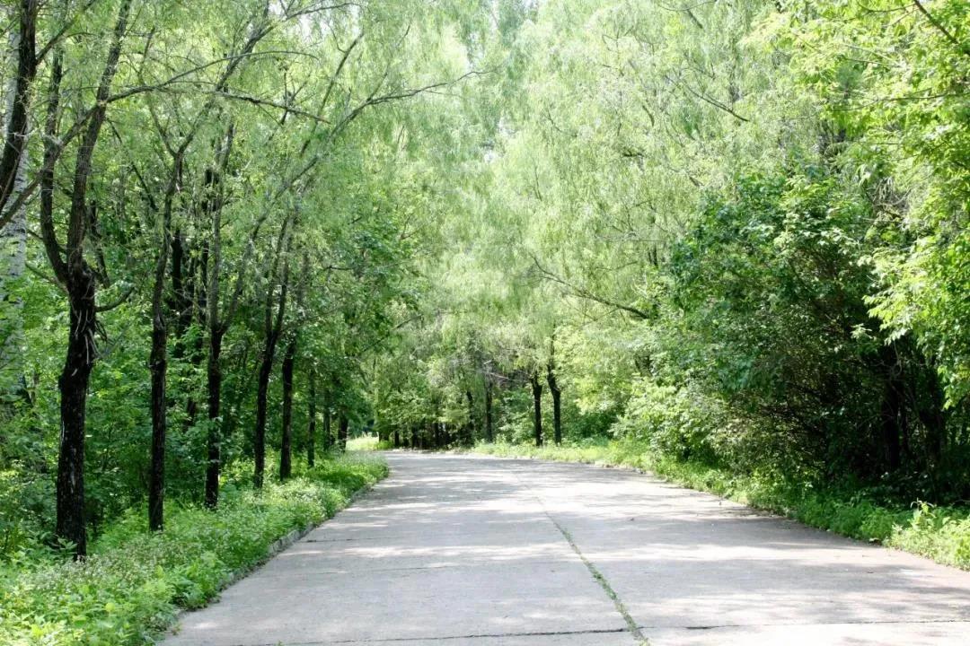 抖圈- 为du而生(中国区)官方网站