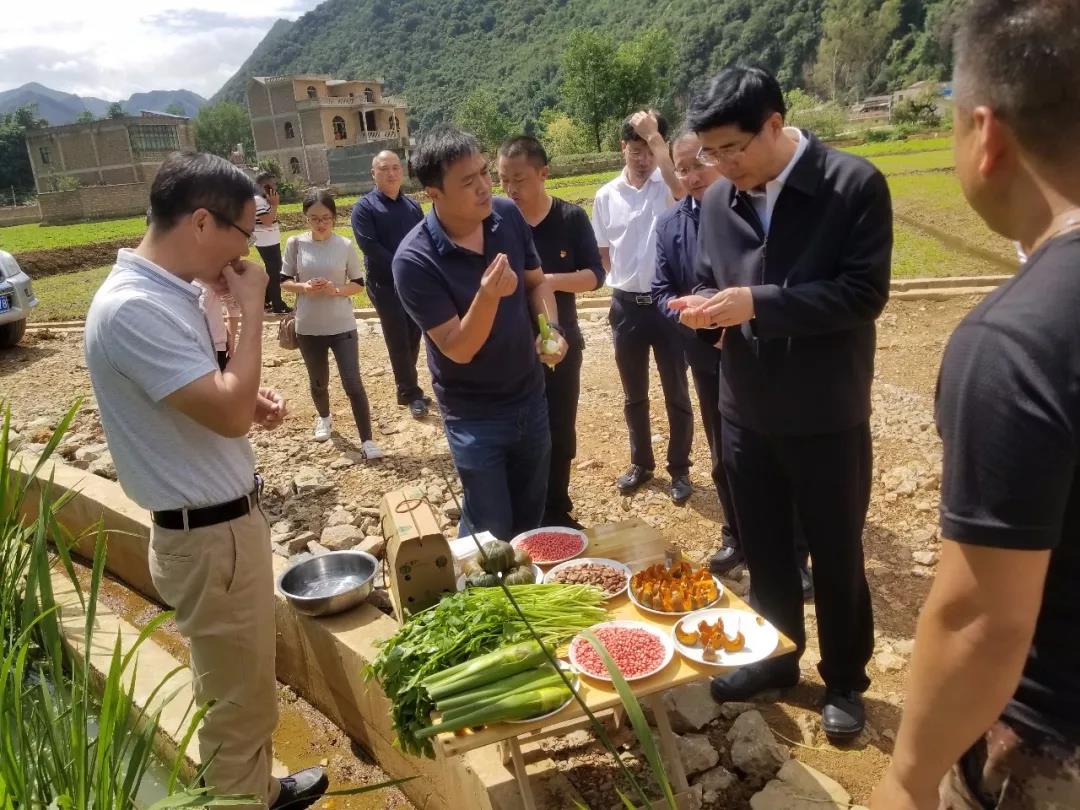 抖圈- 为du而生(中国区)官方网站