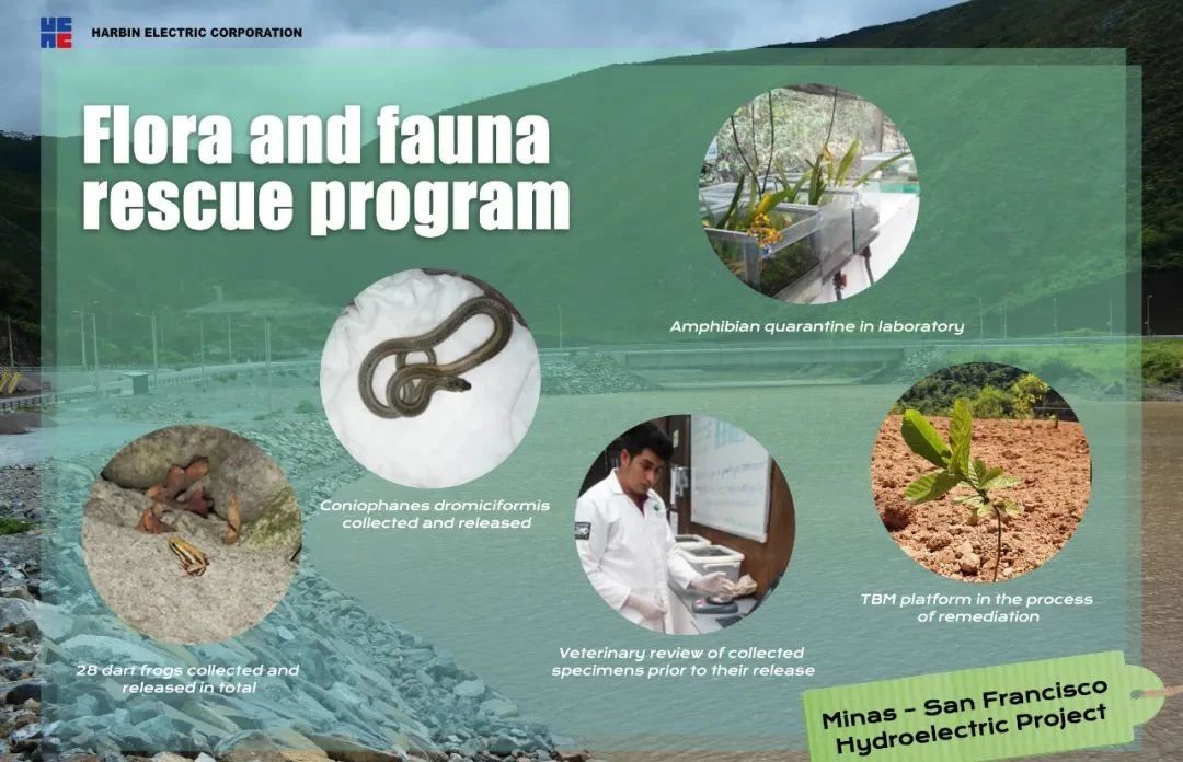 抖圈- 为du而生(中国区)官方网站