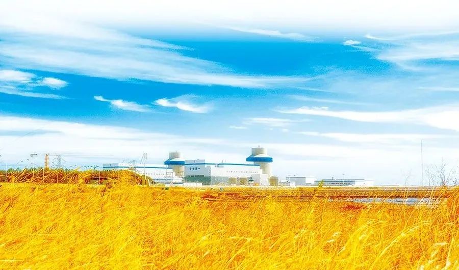 抖圈- 为du而生(中国区)官方网站