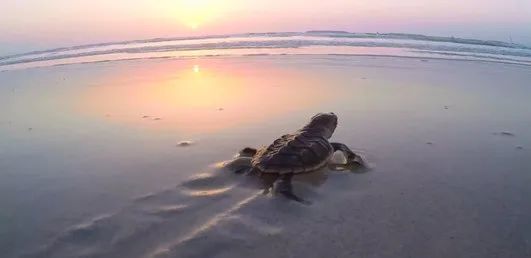 抖圈- 为du而生(中国区)官方网站