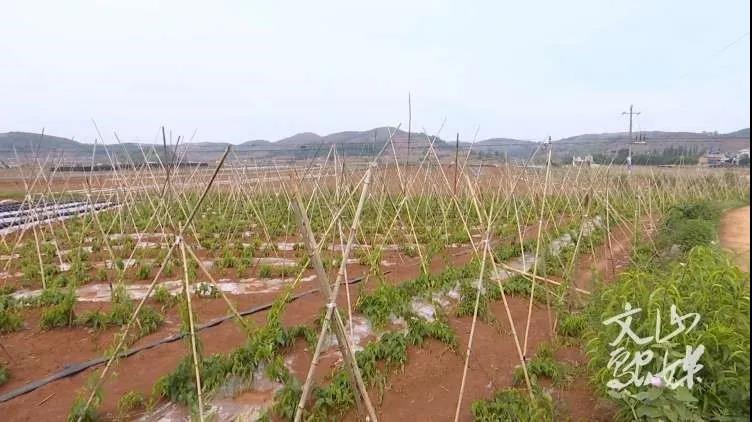 抖圈- 为du而生(中国区)官方网站