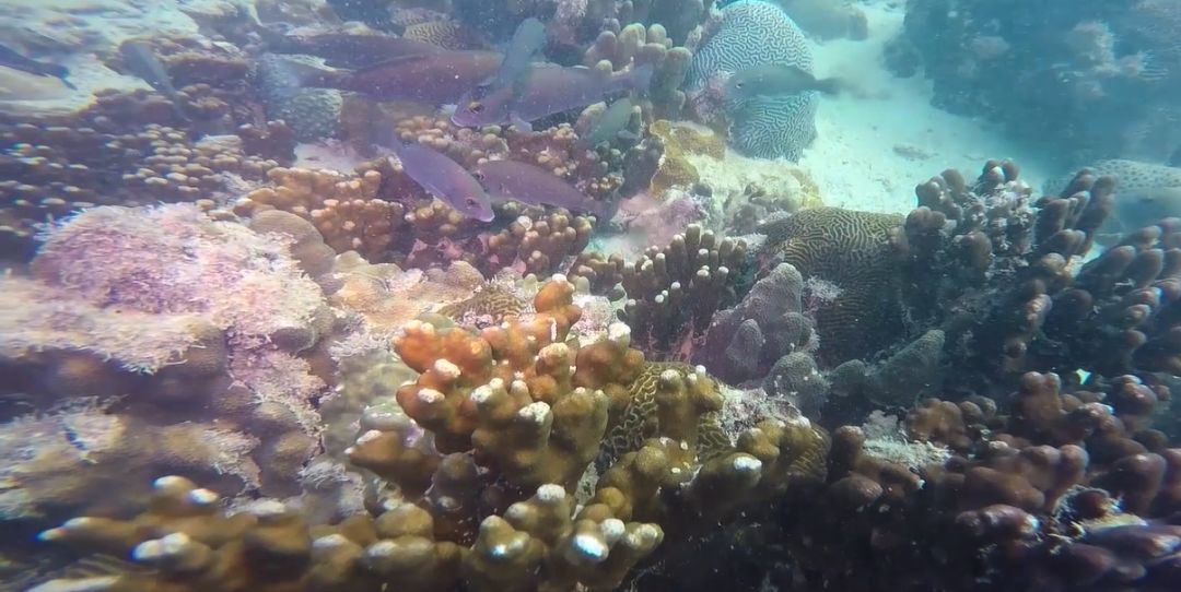 抖圈- 为du而生(中国区)官方网站