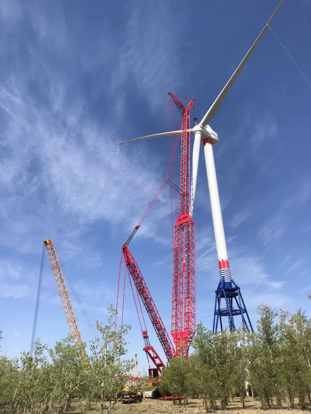 抖圈- 为du而生(中国区)官方网站