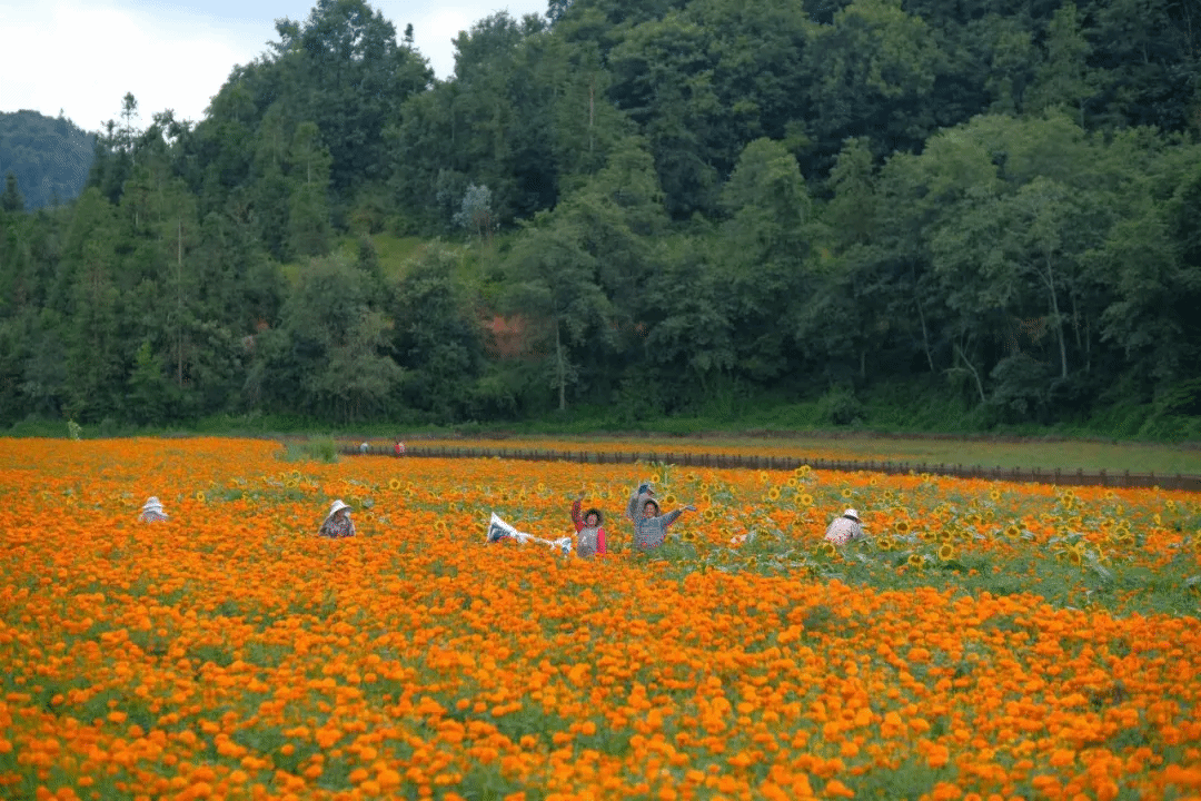 抖圈- 为du而生(中国区)官方网站