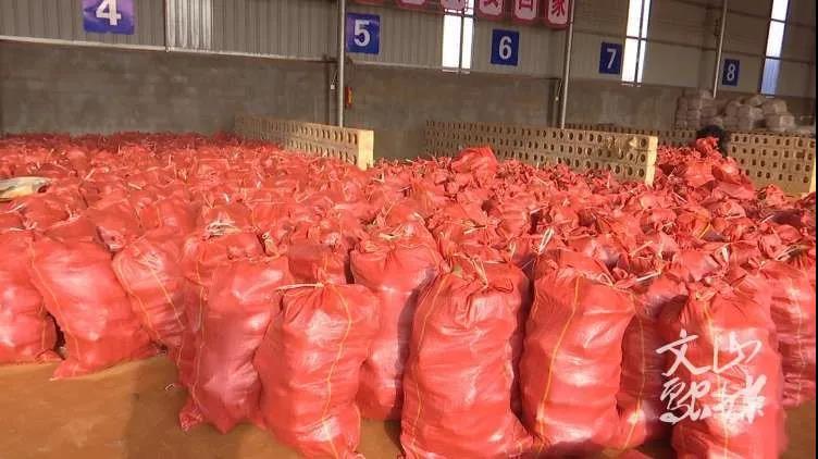 抖圈- 为du而生(中国区)官方网站